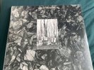 Flux of Pink Indians Strive To Survive  LP 1st press Anarcho Punk