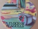 A Flock of Seagulls LP 12` Vinyl picture Bildplatte 	Jive HOP X 201 UK