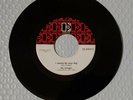 1960's Rock 45 The Stooges  I Wanna Be Your Dog