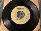 The Rogues - Train Kept A-Rolling/ You Better Look Now 45 Record