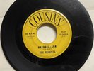 The Regents 1961 WHITE DOO WOP 45 Barbara Ann / I'm So Lonely COUSINS VG- HEAR
