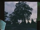 4 Your Eyez Only by J. Cole (Record, 2017)