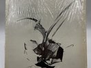Abner Burnett And The Burnouts ‎– Crash & Burn LP *(RARE)* (W.P.A. SLP 1) (VG+)