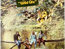 Paul McCartney & Wings • Wild Life STERLING SOUND Press  Vinyl Record LP NM M-