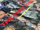 The Stone Roses Second Coming. Original 1994 double album on vinyl