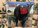 Blink 182 Dude Ranch Splatter Vinyl Record Hot Topic Exclusive