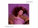 KATE BUSH - Hounds Of Love (180G Vinyl LP) 2018 Parlophone NEW / Shrink tear