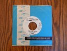The Ventures (Promo) 45 rpm Ram Bunk Shush / Lonely Heart M-