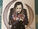 Eat the Elephant by A Perfect Circle (Record, 2018)  NM/ VG+