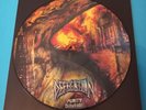 Defecation Picture Vinyl Purity Dilution Napalm Death Repulsion Carcass...