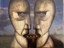 Pink Floyd The Division Bell NEW Blue Vinyl LP Factory First Pressing