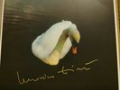 LUDOVICO EINAUDI UNDERWATER SIGNED VINYL 2LP 100% GENUINE RARE - CORNER BUMP