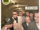 Madness Wonderful 2022 Sealed Vinyl LP Drip Fed Fred Lovestruck Johnny The Horse