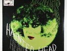 Kid Congo & The Pink Monkey Birds - Haunted Head LP - In The Red SEALED