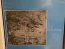 Bedwetter vinyl record Lil Ugly Mane LUM Flick Your Tongue Rare Oop