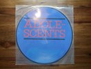 Adolescents s/t LP PICTURE DISC Punk Hardcore Skate Rock HC NOFX Bad Religion