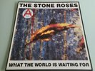 The Stone Roses   What The World Is Waiting For Fool's Gold 12