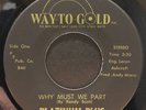 Funk Soul 45 PLATINUM PLUS Why Must We Part / So Simple WAY-TO-GOLD listen