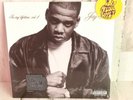Volume 1: In My Lifetime by Jay-Z (Record, 1997)