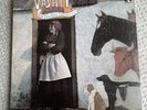 vashti bunyan just another diamond day vinyl album