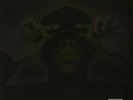 Jay Z - Black Album - Double LP Vinyl - NEW