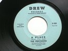 THE PRECISIONS 'A PLACE' 1968 7
