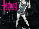 Hedwig And The Angry Inch (Original Cast Recording) *NEW PINK RECORD LP VINYL