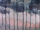 Camera Obscura Desire Lines [LP] [Vinyl] NEW