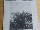 The Sunday Painters: Something To Do (orig 1982 LP, Oz psych-punk)
