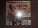 Mekong Delta - Kaleidoscope  VINYL  LP  140gr.  NEU  (2018)