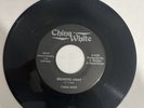 China White Rare Private Ohio Metal 45 RPM Breaking Away/ Victims Of Night