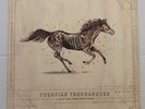 A Long Way From Your Heart Turnpike Troubadours Record Original 2017 Black Vinyl