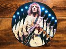 PETER FRAMPTON ’Comes Alive' 12” Vinyl LP RECORD 1978 PICTURE DISC Rare