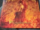 Cradle of filth-Nymphetamine Vinyl