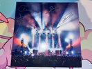 Vinyl 12