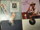 Jerry Jeff Walker Viva Terlinqua Ridin High tested VG+ vinyl records gatefolds