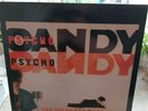 LP The Jesus and Mary Chain NM/EX PSYCHOCANDY 1985 1st press Album UK BYN7