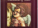 CATHEDRAL OF TEARS s/t 1984 US ORG Enigma LP T.S.O.L. MIDDLE CLASS Darkwave