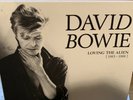 David Bowie Loving the Alien vinyl LP box set