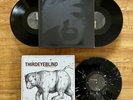 THIRD EYE BLIND BUNDLE VINYL LP ST / URSA MAJOR 3EB STEPHAN JENKINS RARE OOP