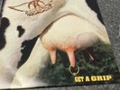 Aerosmith Get A Grip Vinyl 2 Lp Reissue