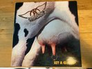 Aerosmith - Get A Grip - 2 x vinyl records from 1993, Geffen Records GEF 24444