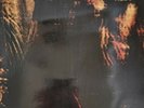 Paradise Lost  Gothic (Schallplatte, 1991) Vile Music England