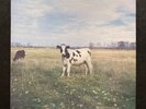 Pink Floyd - The Screaming Abdabs - The Dark Side Of The Moo - 1986 Vinyl LP