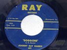 Hear VG JOHNNY RAY HARRIS doggone / cajun weekend RAY 601 Original 45 RARE 7”
