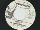 GARAGE FUZZ PUNK - WARNER BROTHERS  - LONELY I   -HEAR - 1966 PROMO DUNWICH