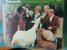 The Beach Boys L.P. Pet Sounds MONO album ORIGINAL 1ST. ISSUE  NO SCRATCHES