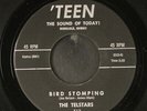 TELSTARS: bird stomping / lonely surf 'TEEN 7