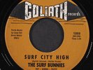 SURF BUNNIES: surf city high / met the boy i adore GOLIATH 7