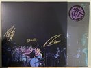 Fuzz SIGNED Levitation Session Limited Green Purple Splatter King Gizzard Segall